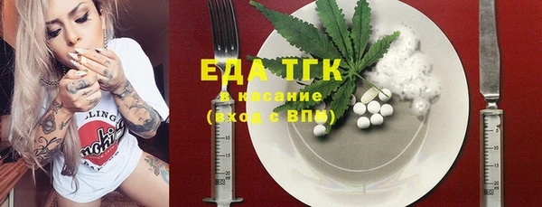 амф Ельня