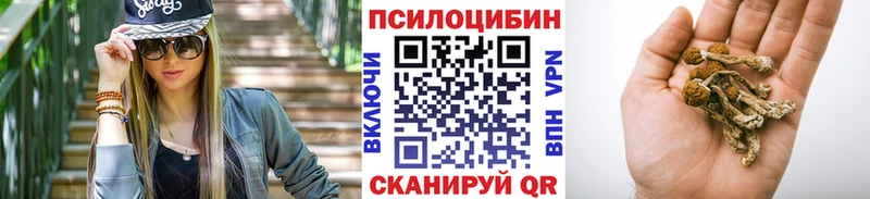 Галлюциногенные грибы Magic Shrooms  Вольск 