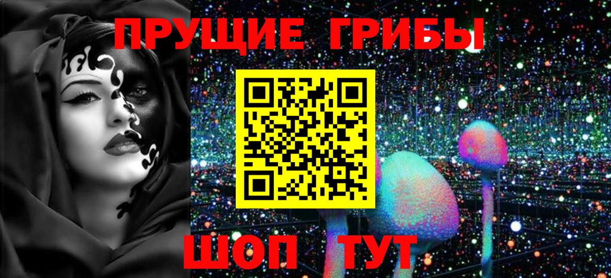 Галлюциногенные грибы мицелий Вольск