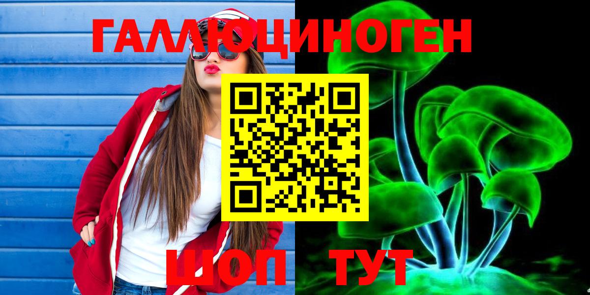 Вольск  Псилоцибиновые грибы MAGIC MUSHROOMS  Вход с VPN 