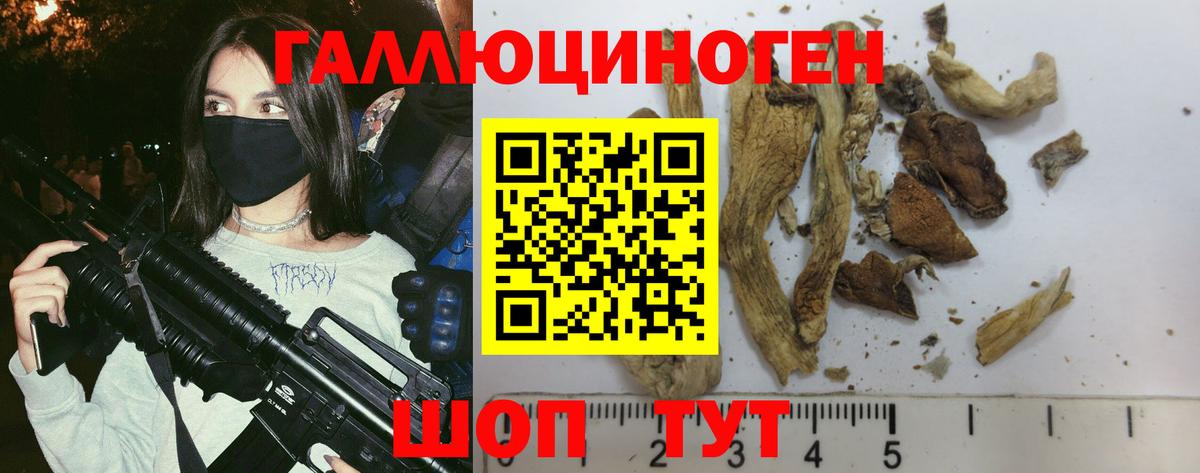 Псилоцибиновые грибы мухоморы Вольск