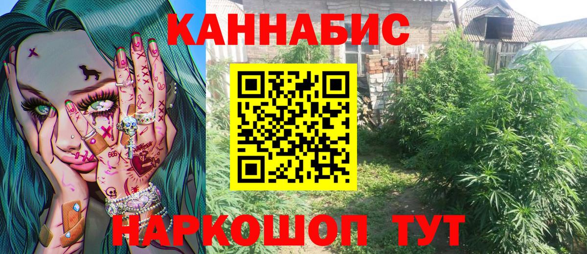 Конопля тримм  Бошки марихуана гибрид  Вход с VPN  Каннабис Amnesia  Вольск 